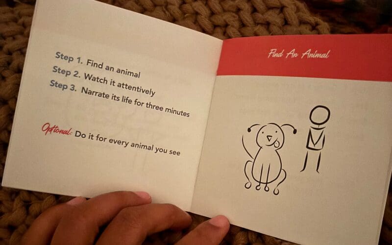 A page from the booklet titled “Find an Animal” with a simple drawing of a person and a dog.